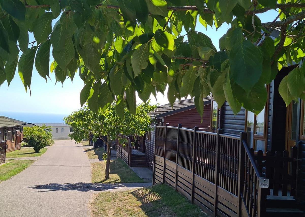 Shear Barn Holiday Park Χέιστινγκς Εξωτερικό φωτογραφία
